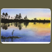 Everglades Sunset Heron