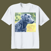 Black Labrador Dog 